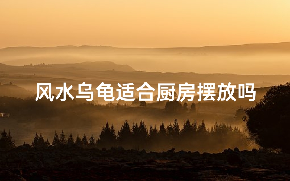 风水乌龟适合厨房摆放吗?