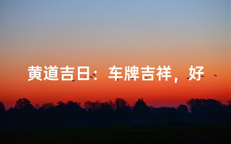 黄道吉日:车牌吉祥,好运连连