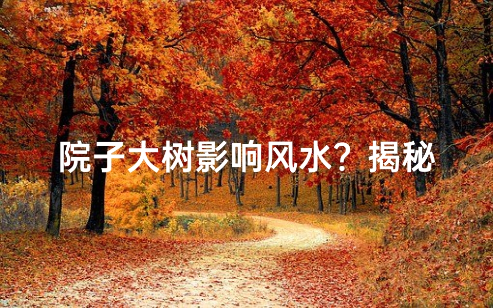 院子大树影响风水?揭秘家居风水禁忌