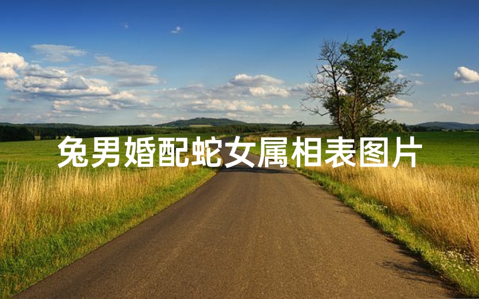 兔男婚配蛇女属相表图片(生肖配对 兔男蛇女生肖婚配 )