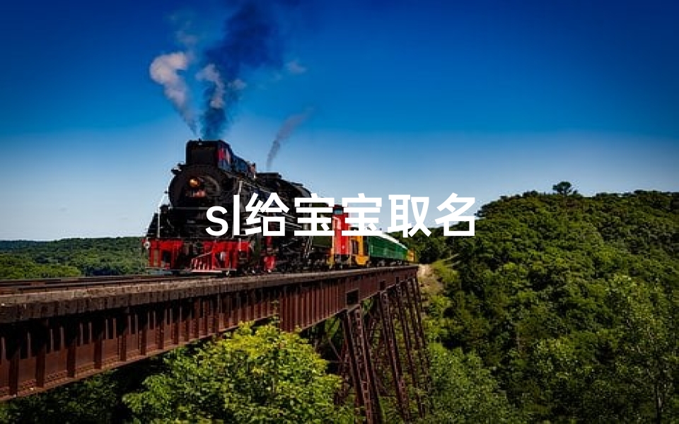 sl给宝宝取名