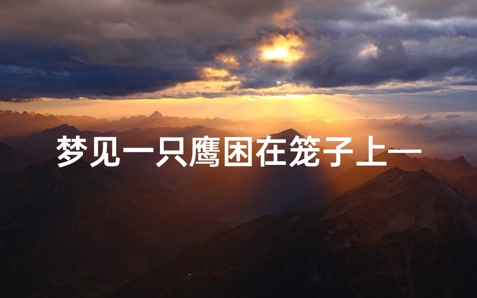 梦见一只鹰困在笼子上—梦见鹰在屋里