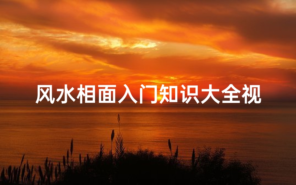风水相面入门知识大全视频(风水学属于哪个教门)