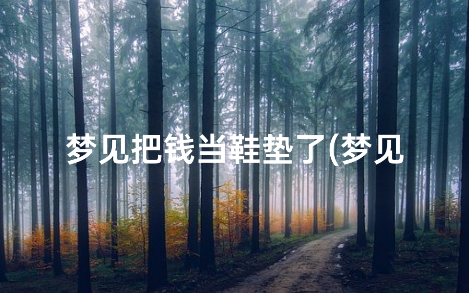 梦见把钱当鞋垫了(梦见把钱藏在鞋底)