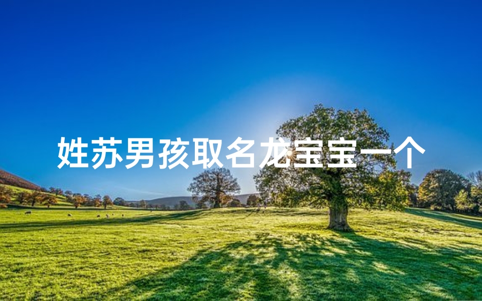 姓苏男孩取名龙宝宝一个字好吗—《苏家龙宝宝,一字彰显豪情万丈》