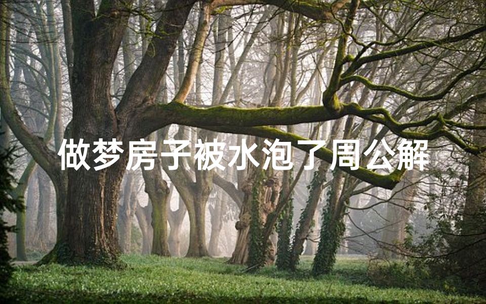 做梦房子被水泡了周公解梦(梦见房子被水泡的预兆)