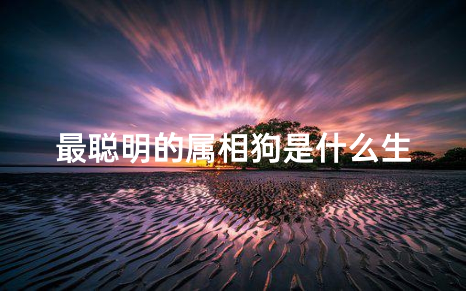 最聪明的属相狗是什么生肖(博学多识,见识多广,十二生肖里最有智慧的3大生肖,有没有你 )