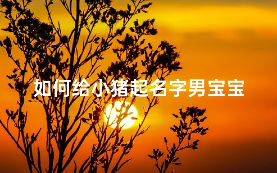 如何给小猪起名字男宝宝(2025年出生的男宝宝起什么名字好)