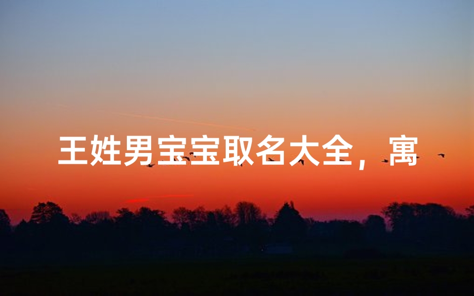 王姓男宝宝取名大全,寓意深远且朗朗上口的名字推荐