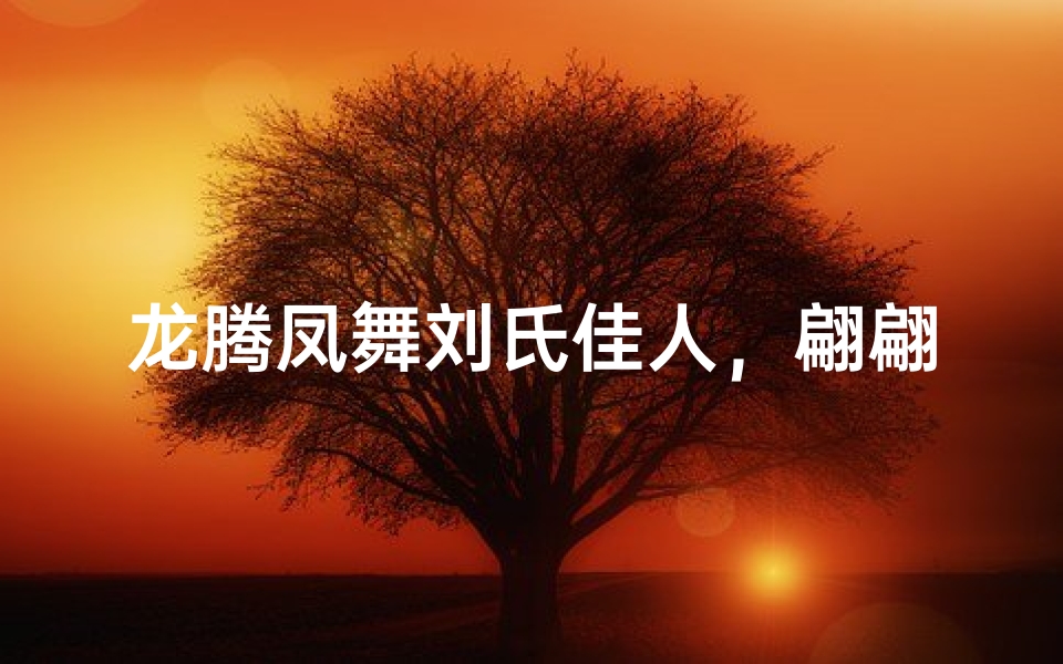 龙腾凤舞刘氏佳人,翩翩起舞青春梦