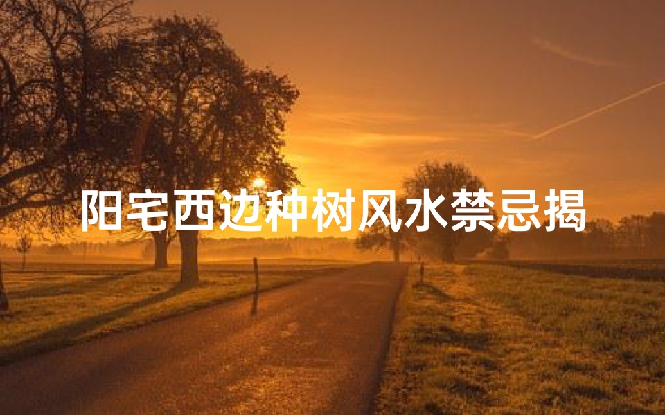 阳宅西边种树风水禁忌揭秘