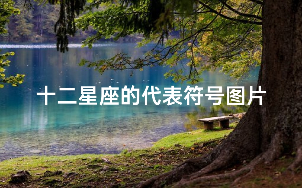 十二星座的代表符号图片(十二星座对应的标点符号)