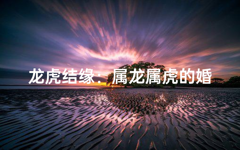龙虎结缘:属龙属虎的婚姻幸福秘诀