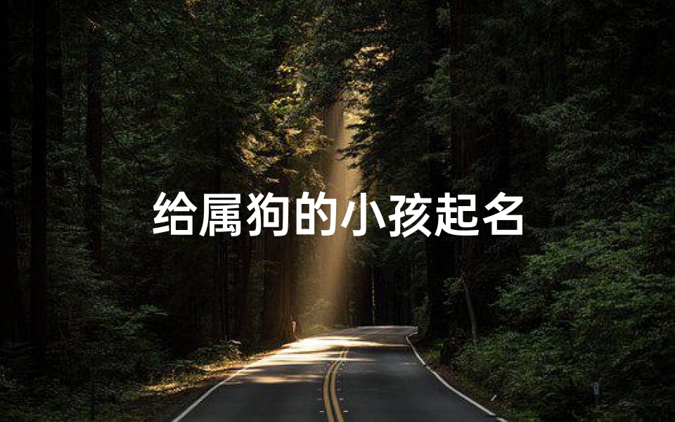 给属狗的小孩起名
