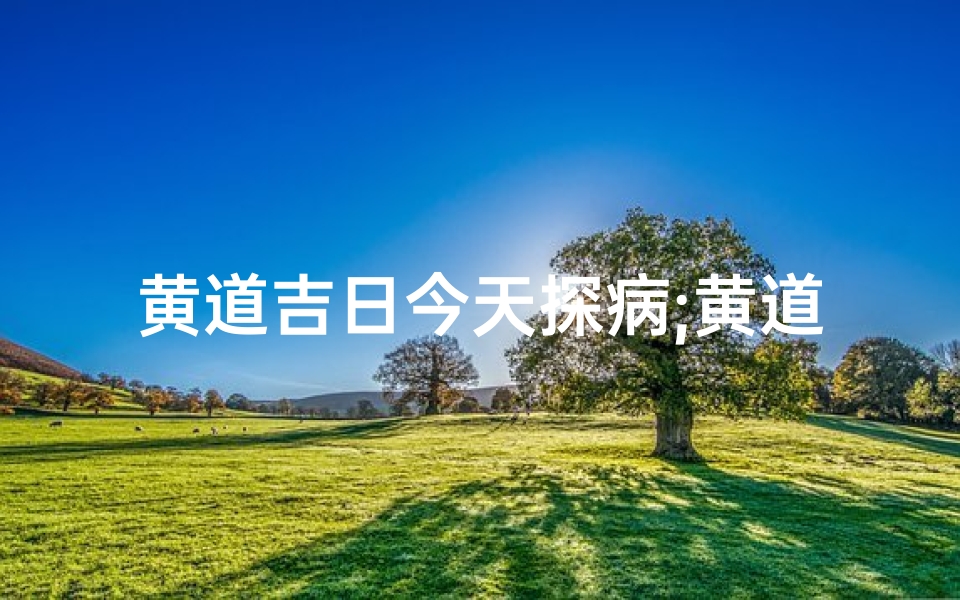 黄道吉日今天探病;黄道吉日探病,关爱健康暖人心
