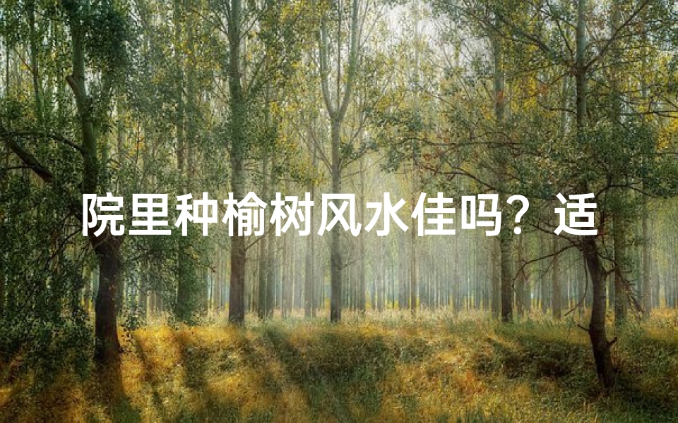 院里种榆树风水佳吗?适宜种植的探讨