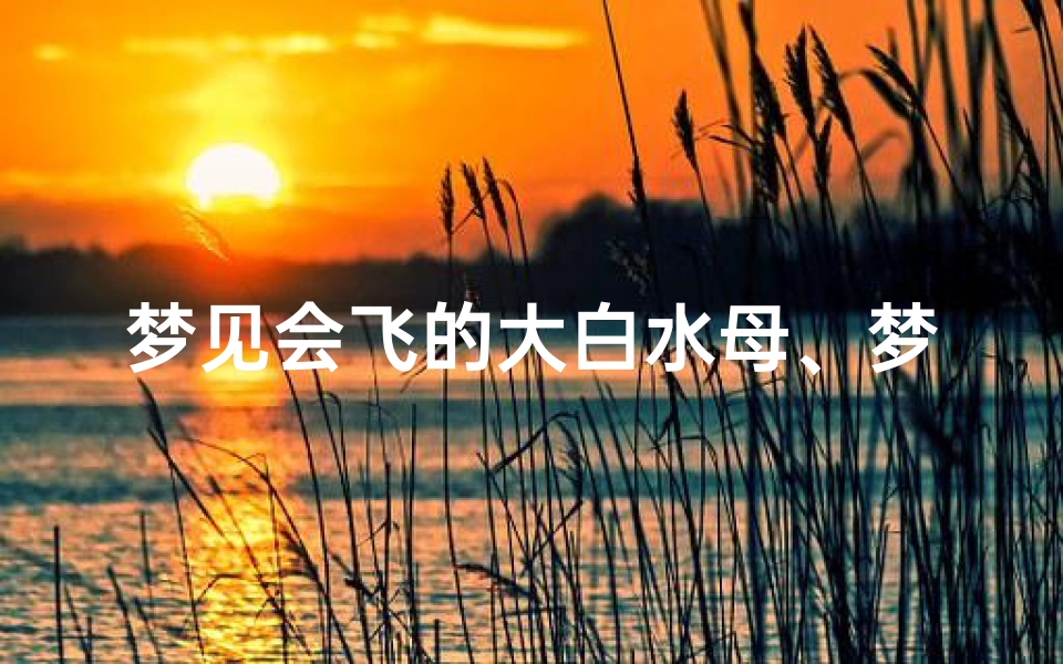 梦见会飞的大白水母、梦到水母发光了预示着什么