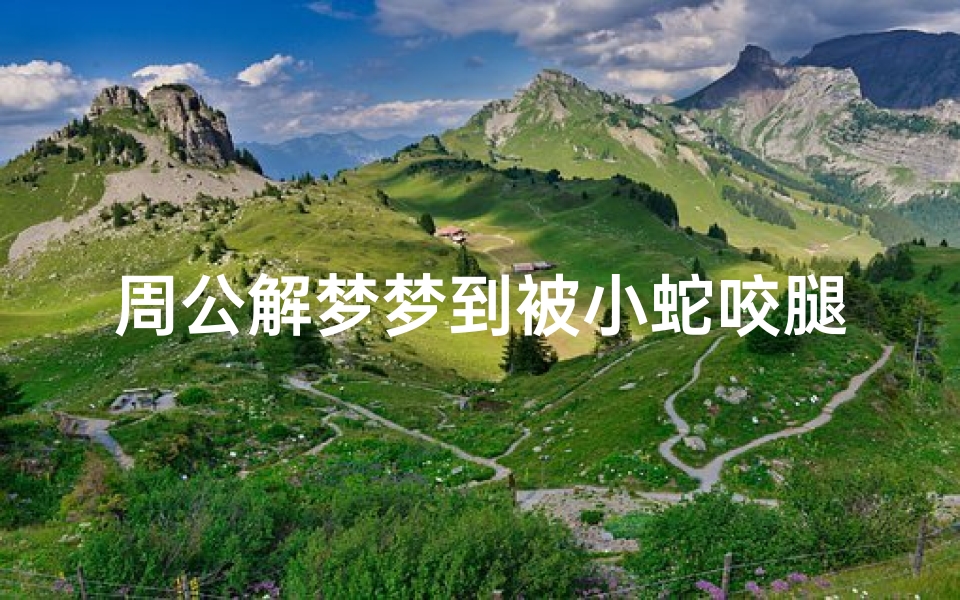 周公解梦梦到被小蛇咬腿(梦见腿被蛇咬是什么意思 )