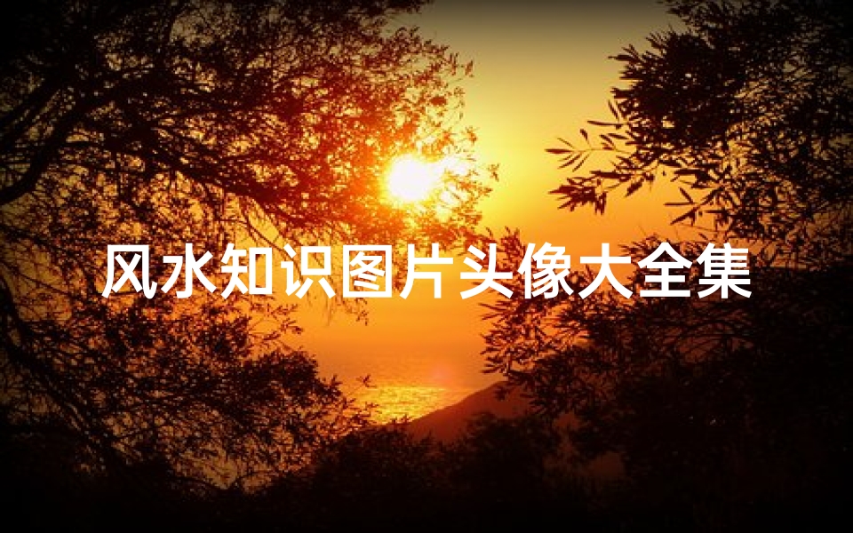 风水知识图片头像大全集(风水上最好的微信头像有哪些)