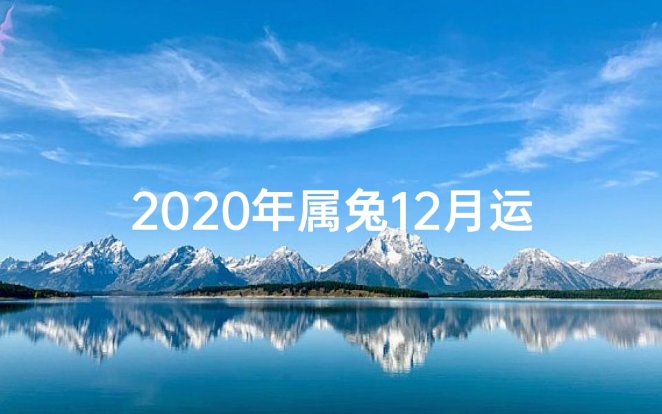 2020年属兔12月运程、《生肖兔20年12月运势:喜气洋洋迎新春》