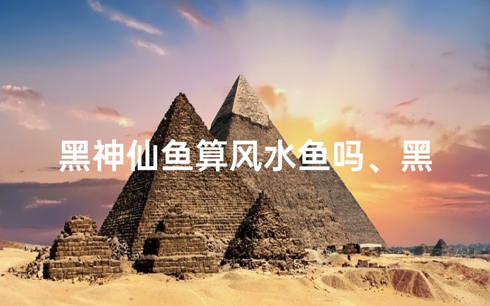 黑神仙鱼算风水鱼吗、黑神仙鱼:风水鱼中的神秘之选
