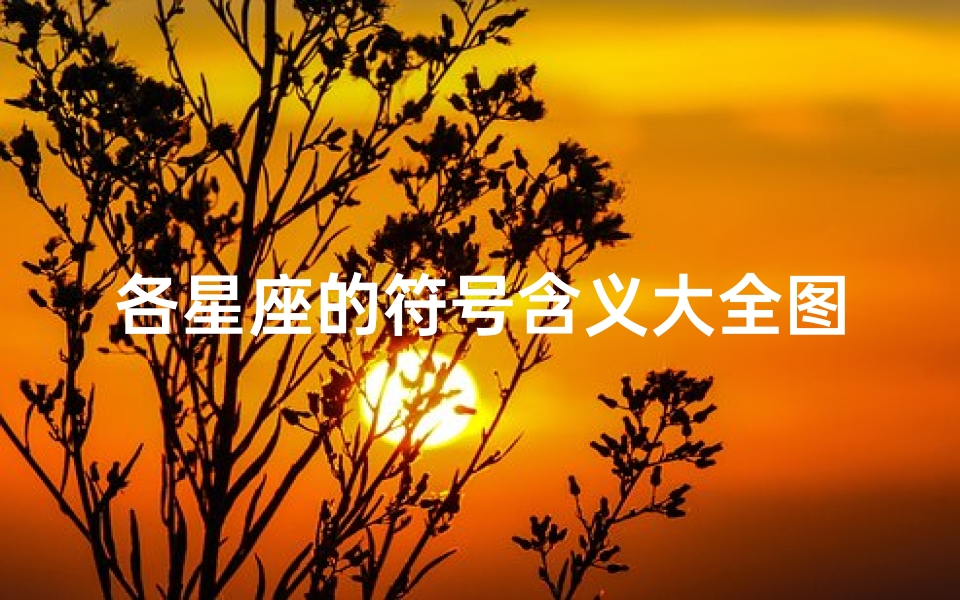 各星座的符号含义大全图片(十二星座的符号都代表什么含义)