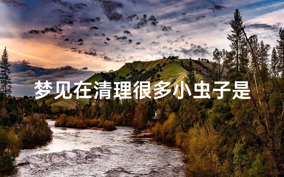 梦见在清理很多小虫子是什么预兆-梦见清理蛆虫有什么预兆