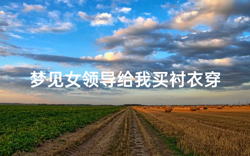 梦见女领导给我买衬衣穿、梦见领导买很多衣服