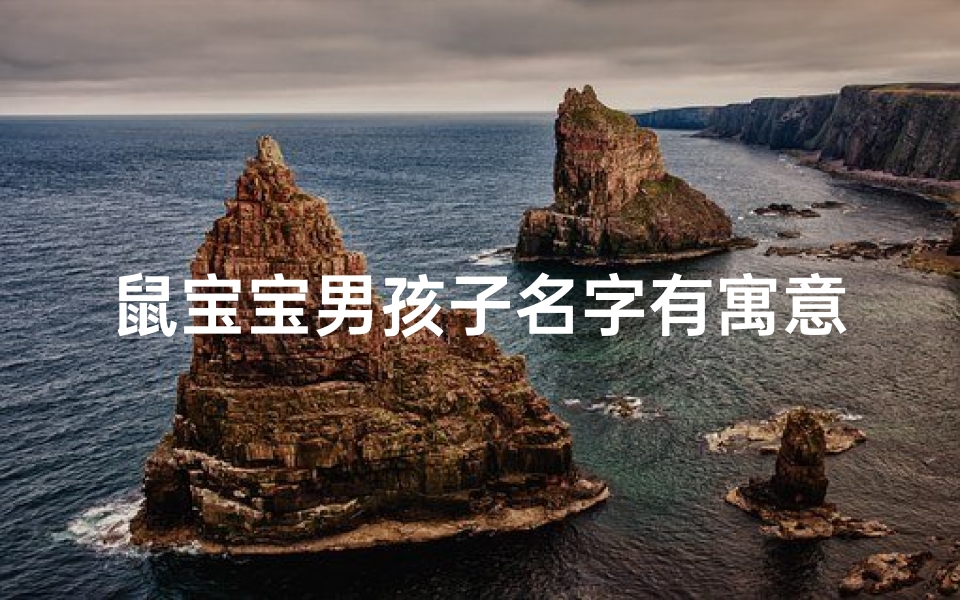 鼠宝宝男孩子名字有寓意大气的名字-《鼠小孩男孩:探寻温馨童趣的名字之旅》