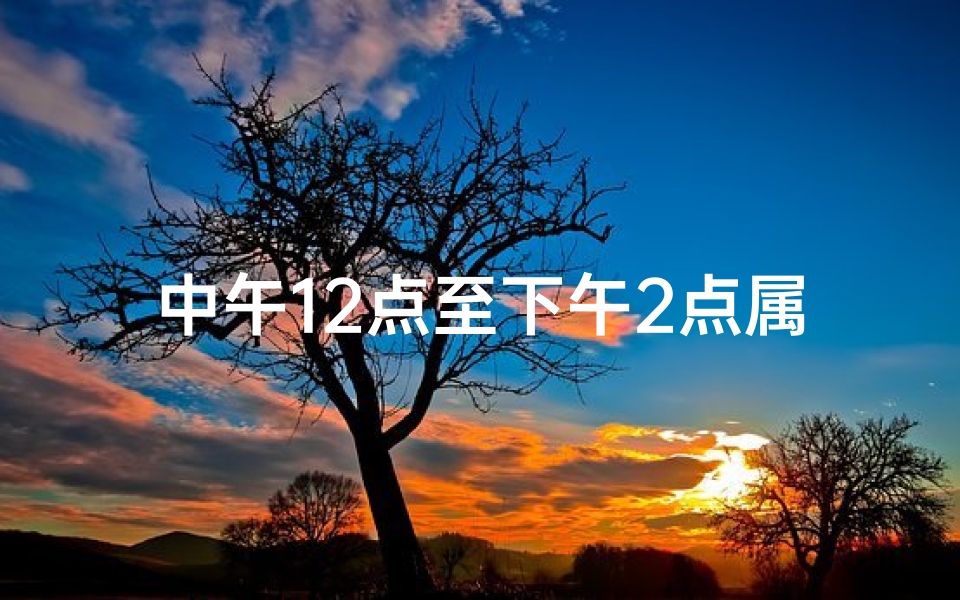 中午12点至下午2点属相(十二生肖排序及时辰,十二生肖的时辰表)