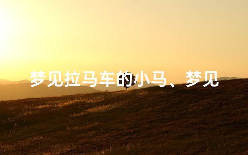 梦见拉马车的小马、梦见马拉车好不好