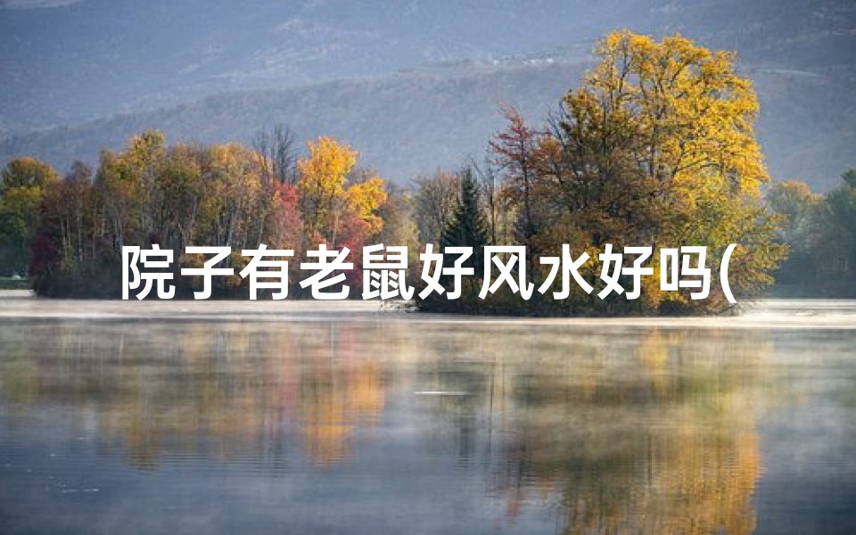 院子有老鼠好风水好吗(院子有老鼠是风水宝地?)