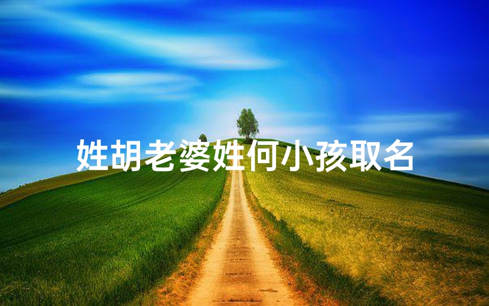 姓胡老婆姓何小孩取名