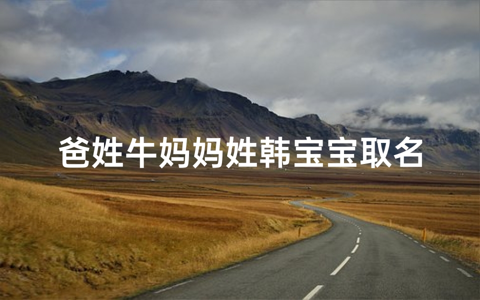 爸姓牛妈妈姓韩宝宝取名—姓韩牛宝宝名字