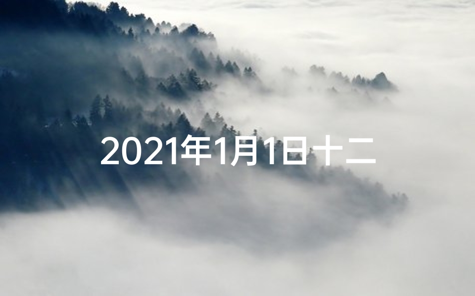 2021年1月1日十二生肖运势_《1月1日生肖运势化解秘籍,开启新岁好运之旅》