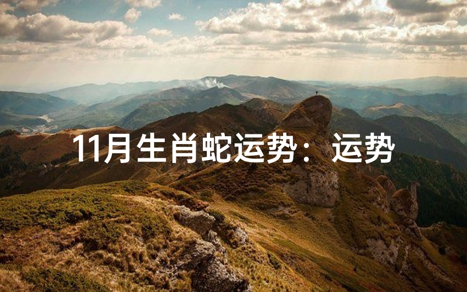 11月生肖蛇运势:运势起伏,把握关键时机