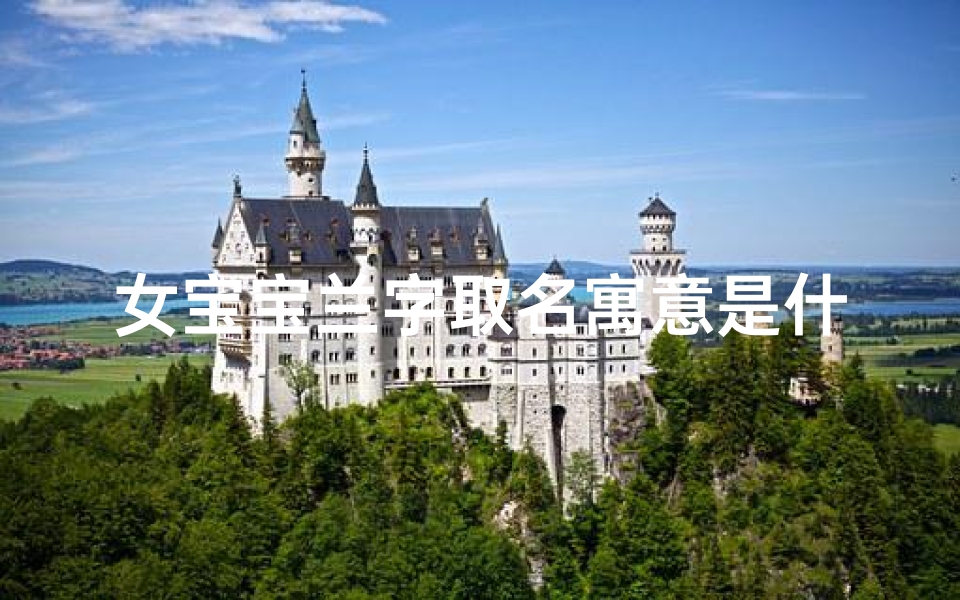 女宝宝兰字取名寓意是什么,《兰心蕙质,宝宝兰字,寓意美好人生》-海瑞算卦网