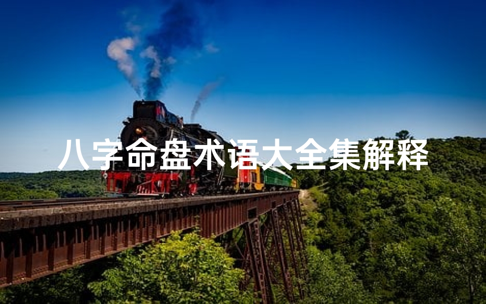 八字命盘术语大全集解释-《八字命盘术语大全解析秘籍》