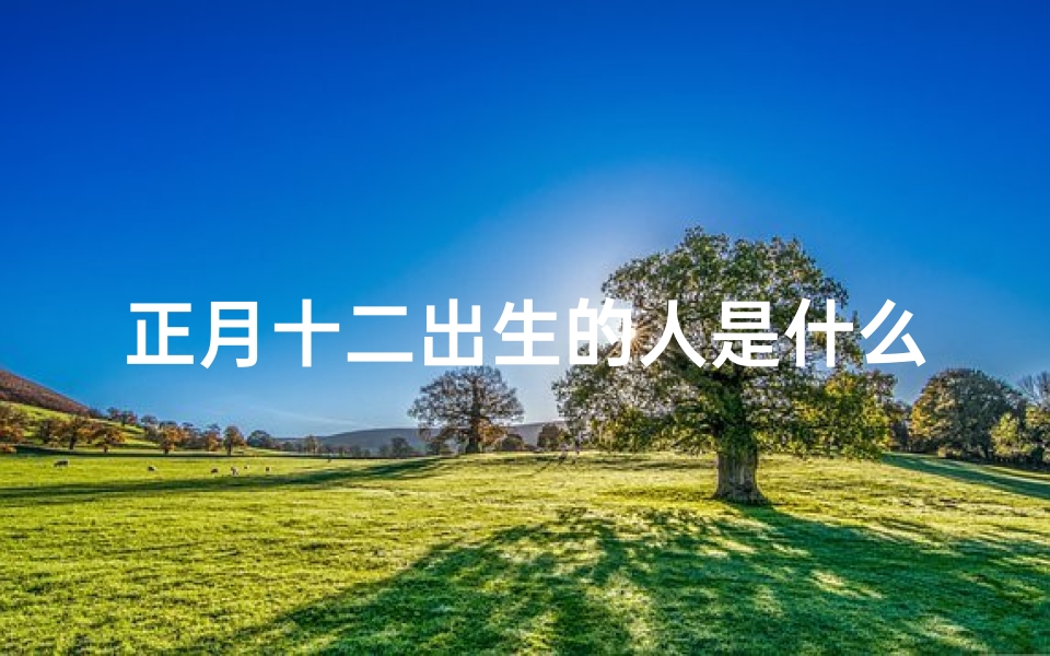 正月十二出生的人是什么星座,揭秘水瓶座的独特魅力