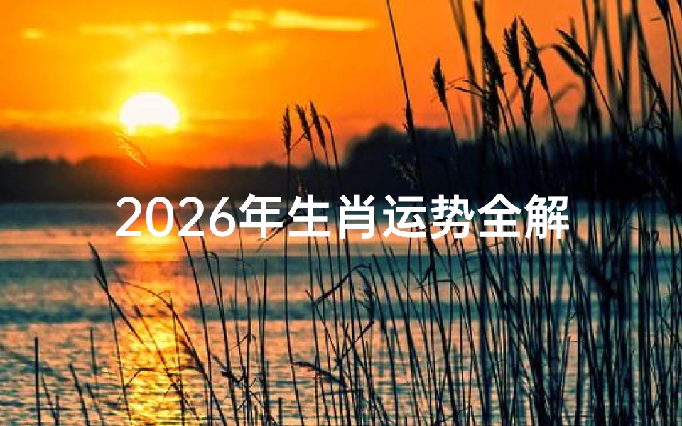 2026年生肖运势全解析,十二生肖运程预测及开运指南