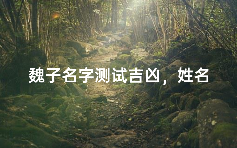 魏子名字测试吉凶,姓名学解析与运势分析-海瑞算卦网