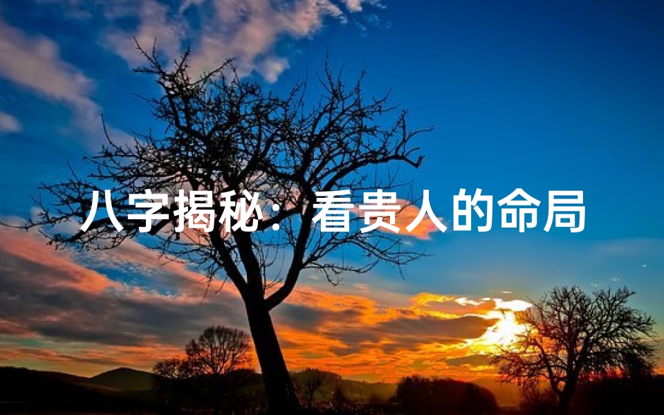 八字揭秘：看贵人的命局如何布局