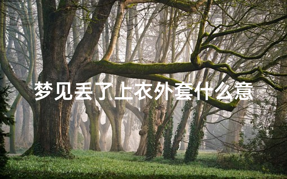 梦见丢了上衣外套什么意思,梦见丢了上衣外套什么意思啊
