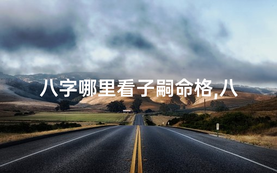 八字哪里看子嗣命格,八字算子嗣