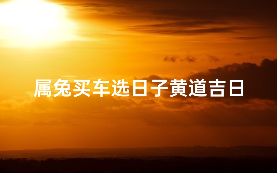 属兔买车选日子黄道吉日查询(日历黄道吉日提车2025年8月属兔人提车好日子哪一天 )