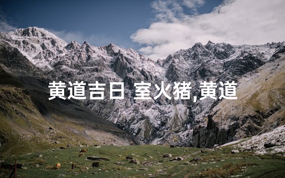 黄道吉日 室火猪,黄道吉日火化