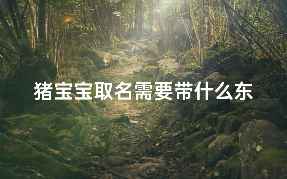 猪宝宝取名需要带什么东西