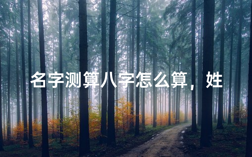 名字测算八字怎么算,姓名与生辰八字的奥秘解析