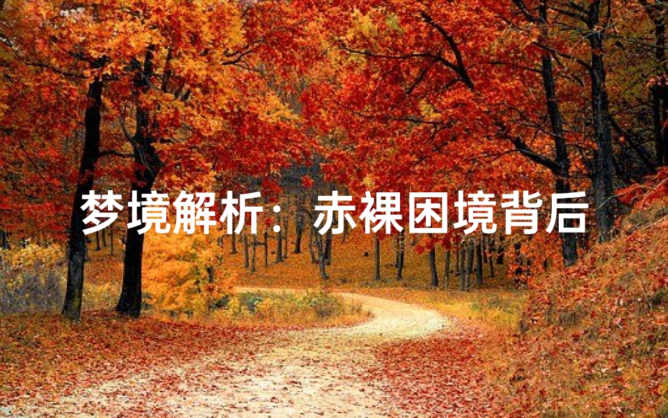 梦境解析:赤裸困境背后的心理暗示