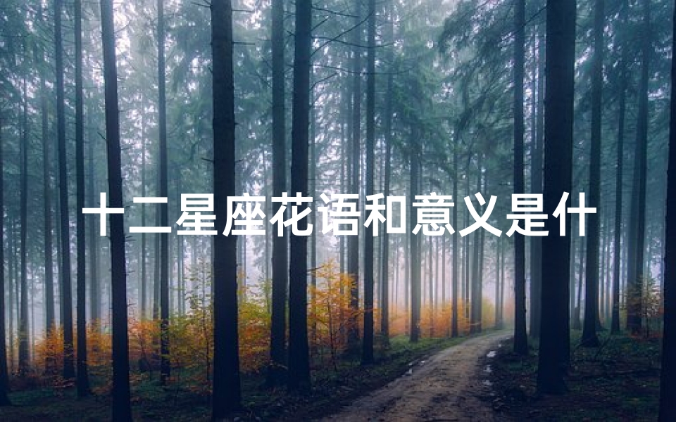 十二星座花语和意义是什么(十二星座的守护花是什么)